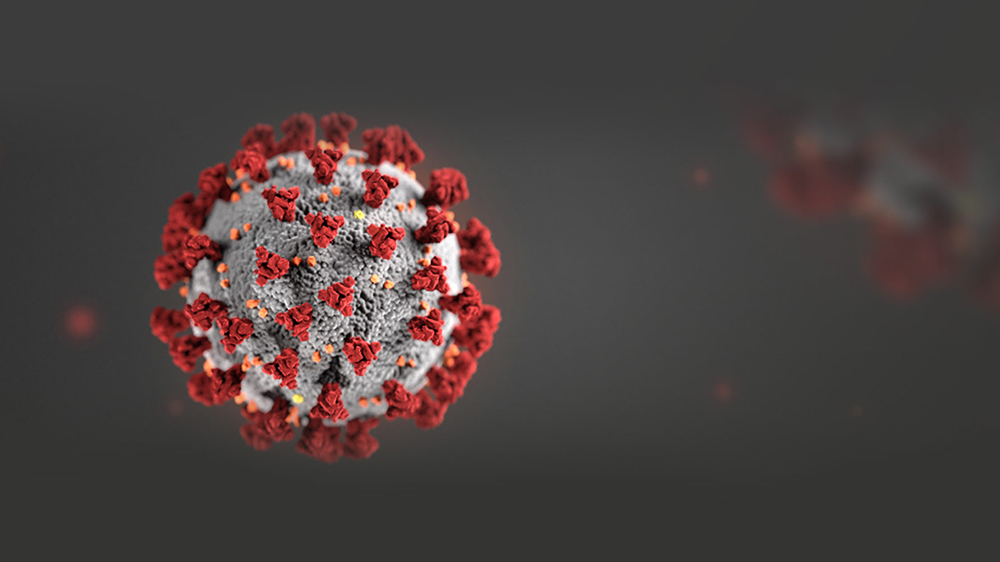 Latest COVID-19 Information coronavirus
