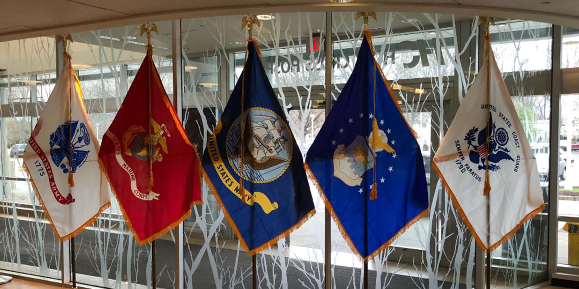 Military and Veterans Health Program