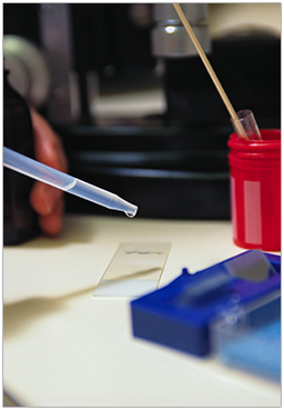 Laboratory Services at Holy Cross Hospital and Holy Cross Germantown Hospital