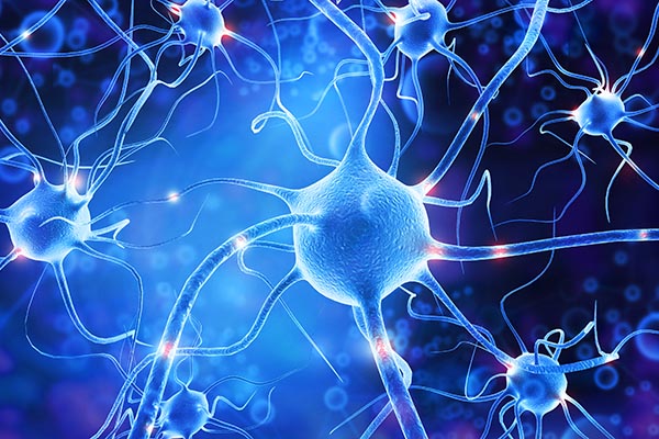 Neuro synapses
